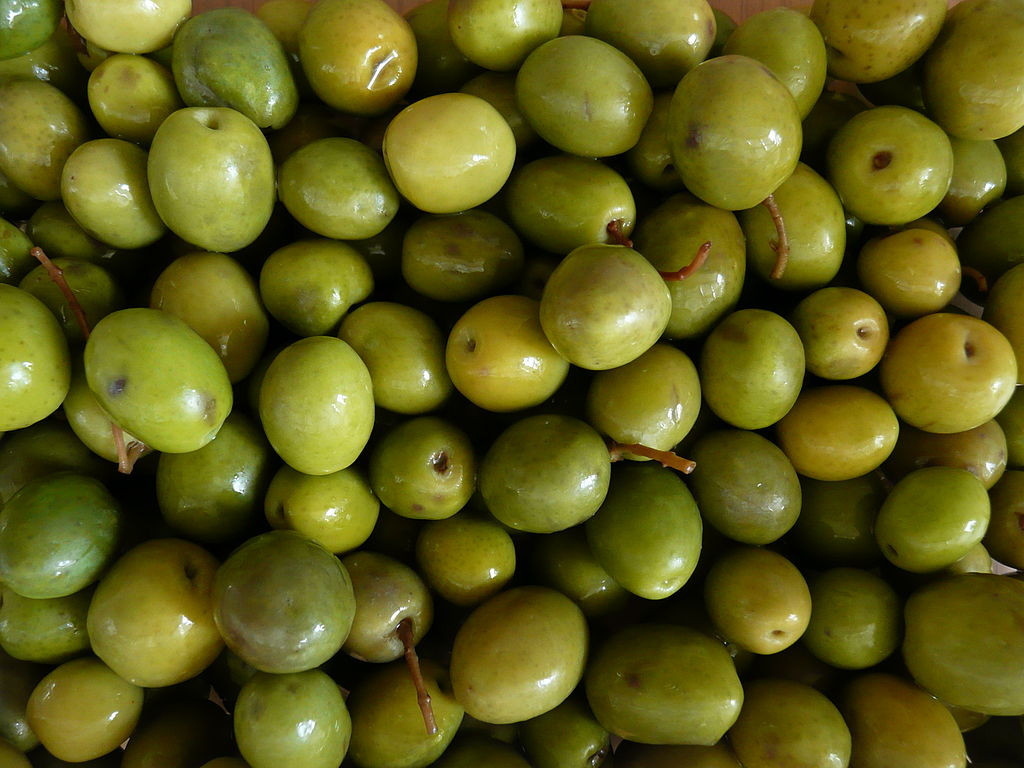 Buy Olives Online Big Paw Olive Oil