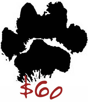 $60 Big Paw Gift Certificate