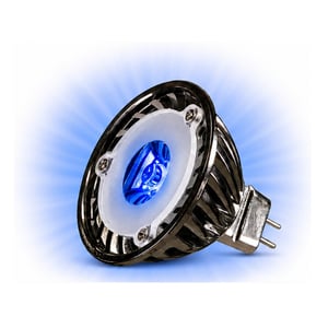 blue bulb