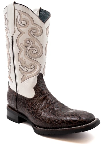 Ferrini "Kai" Chocolate Sea Turtle Print Square Toe Cowboy Boots 42593-09