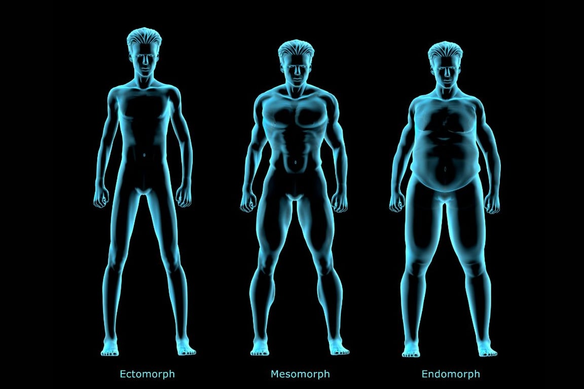 3 Male Body Types