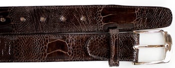 Belvedere ''2000'' Brown All-Over Genuine Ostrich Leg Belt