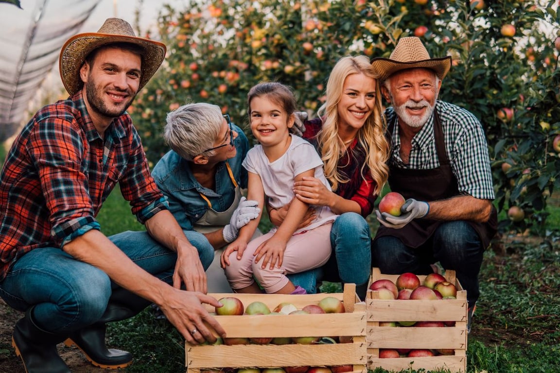 A family stored the Apples on Crates